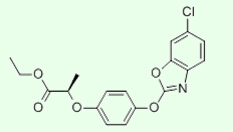 Fenoxaprop-p-etyl 95٪ TC ، 10٪ EC Herbicides کشاورزی