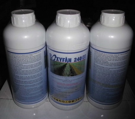 اکسی فلورفن خالص 24٪ EC علف کش برای پیاز و بادام زمینی شماره CAS 42874-03-3